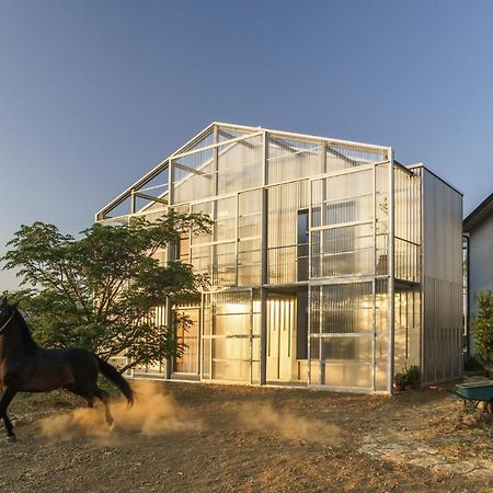 Villa Anonima Agricola Orbetello Exterior foto